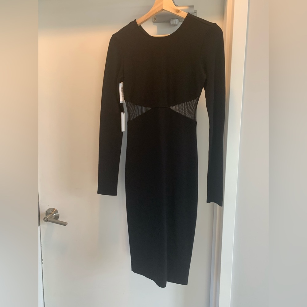 NWT babaton LBD